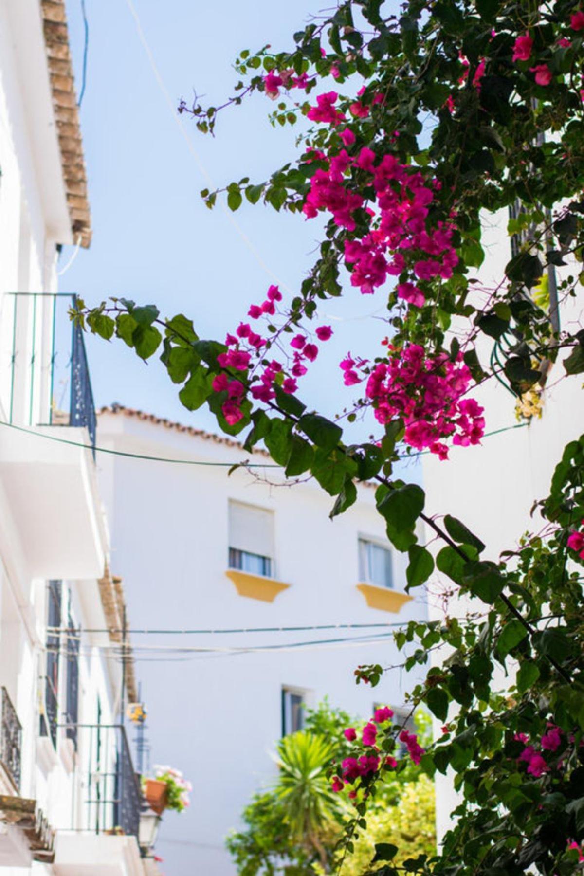 Superior 3Br Golfla Apartment Minutes From Puerto Banus & Marbella مالقة المظهر الخارجي الصورة